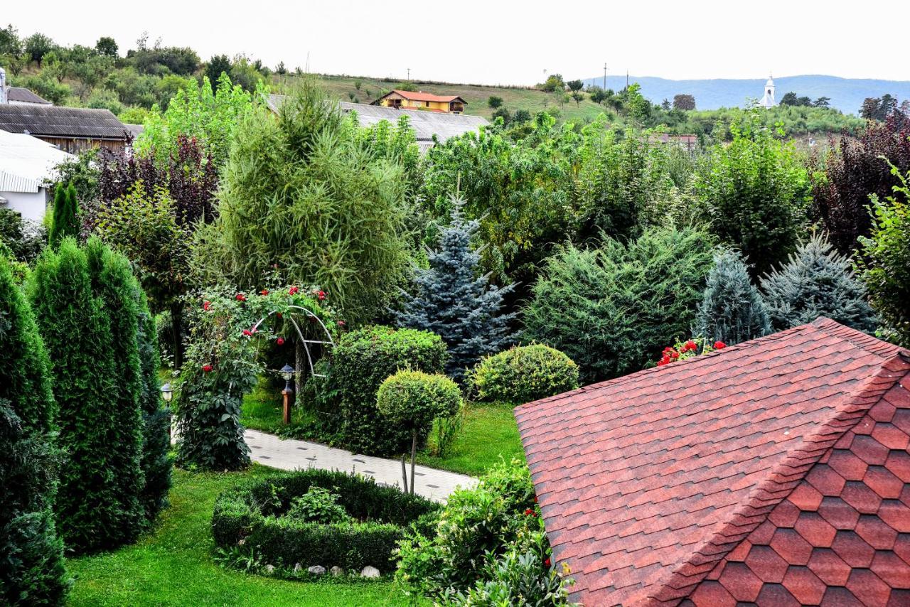 Casa Moteasca 호텔 Mihai Viteazu  외부 사진