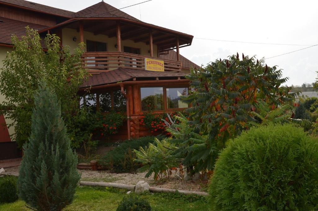 Casa Moteasca 호텔 Mihai Viteazu  외부 사진